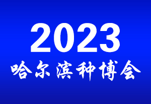 2023ֲ