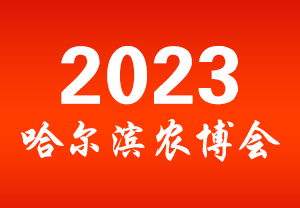 2023Ir