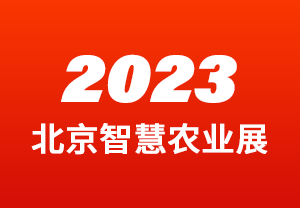 2023ǻrIչ