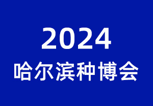 2024ֲ