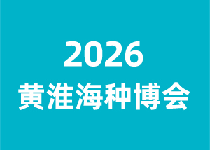 2026�ƻ����ֲ���
