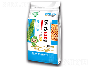 西农100（11kg）-小麦种子-豫北种业