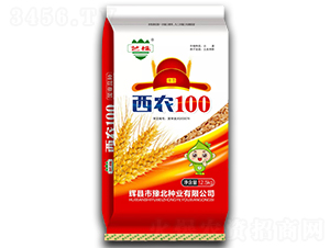 西农100小麦种子-豫北种业
