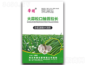 大蒜抽薹拉长剂含氨基酸水溶肥料-帝朋-枫润农业