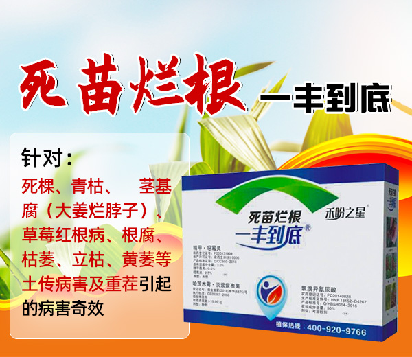 上海禾盼农业科技有限公司