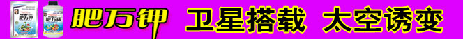 以色列昕爵国际集团（中国）有限公司