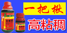 㽭ũũҩ޹˾