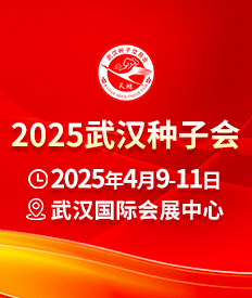 2025人ӻ