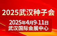 2025人ӻ  