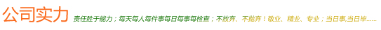 公司实力